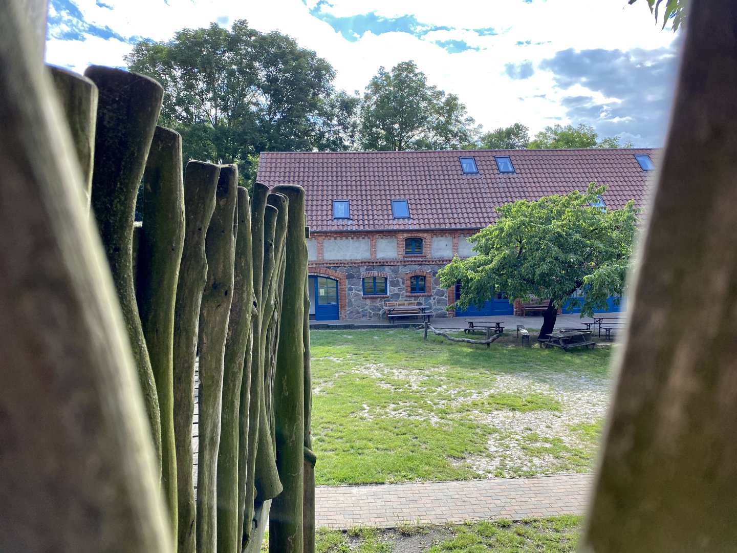 Blick vom Baumhaus auf den Hof