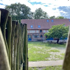 Blick vom Baumhaus auf den Hof. 