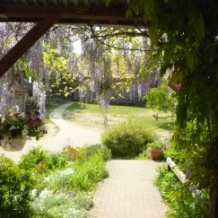 Blick vom Wohnhaus auf den Hof (Aktuelles Bild in Großansicht)