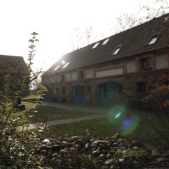 Hofblick. 