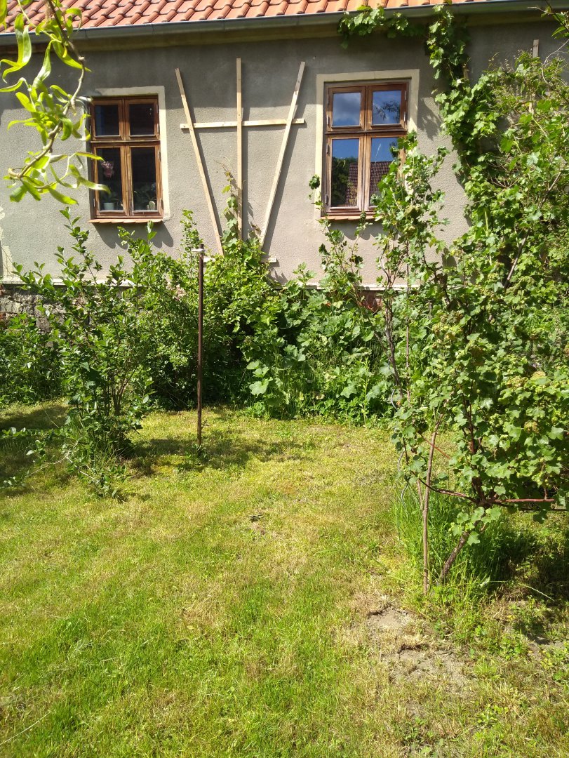 Beerengarten vor dem Wohnhaus