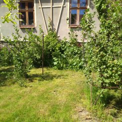 Beerengarten vor dem Wohnhaus. 