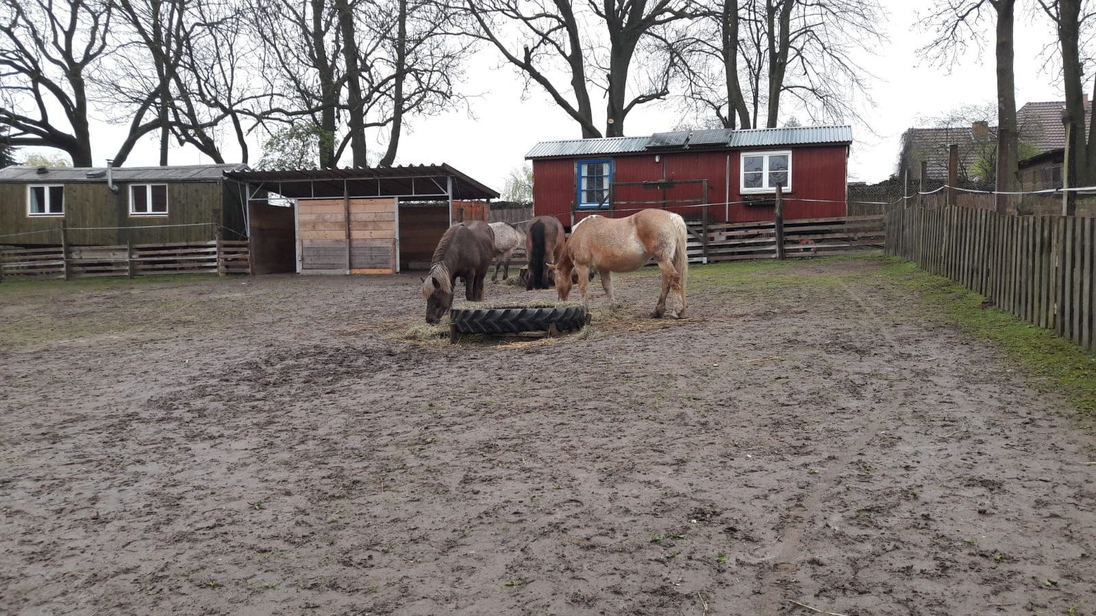 Pferdehof
