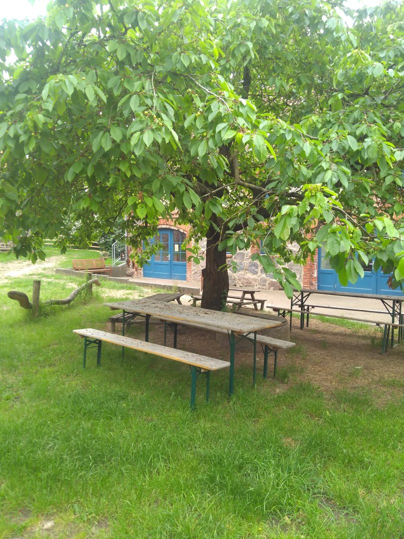 Unterm Kirschbaum