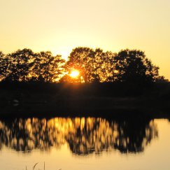 Der See am Abend. 