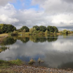 Der See (Aktuelles Bild in Großansicht)